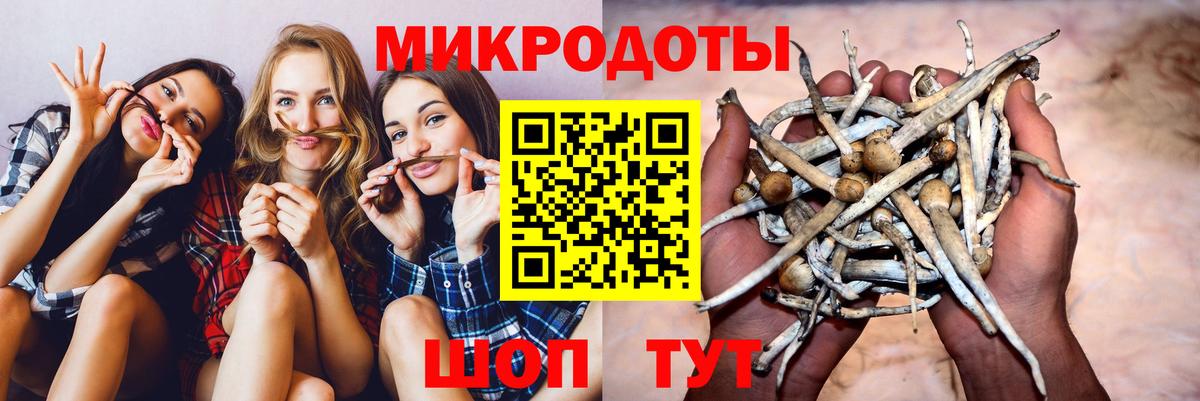 Галлюциногенные грибы MAGIC MUSHROOMS  Псилоцибиновые грибы Cubensis  Вход с VPN  Ковров 