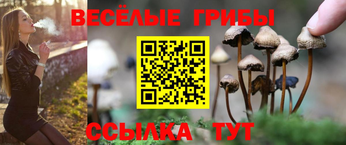 Галлюциногенные грибы ЛСД Ковров